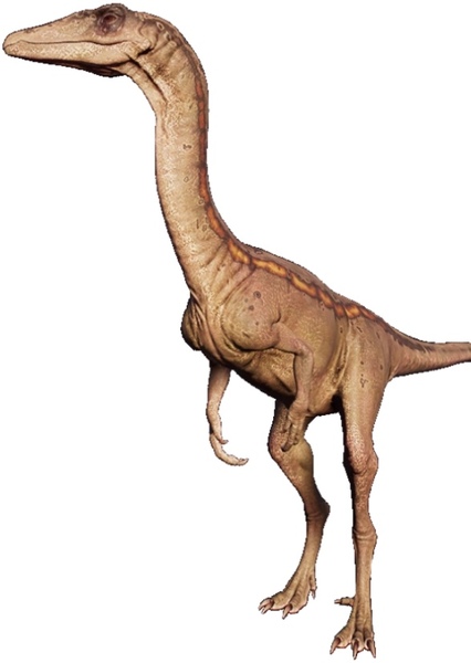 Coelophysis photo
