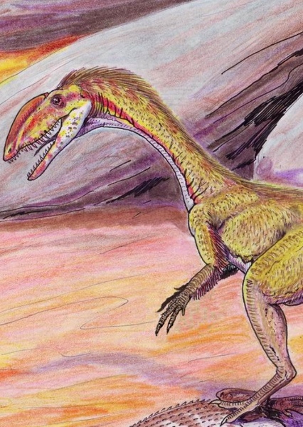 Coelophysis