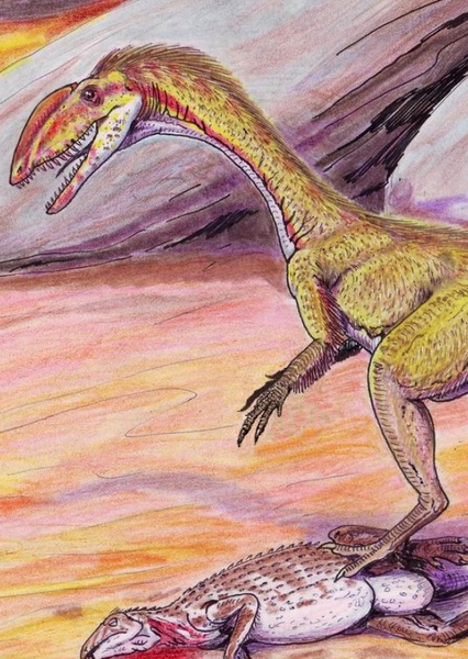 Coelophysis photo