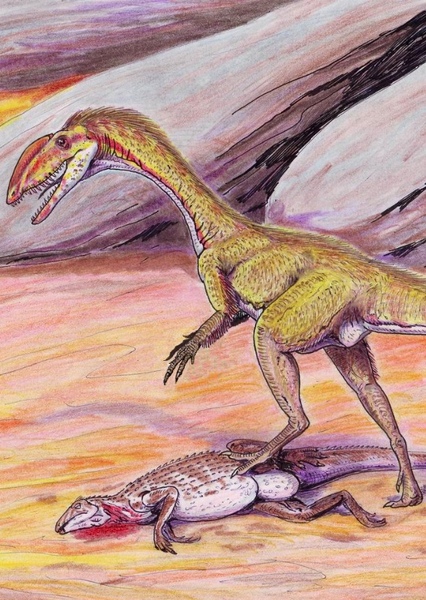 Coelophysis photo