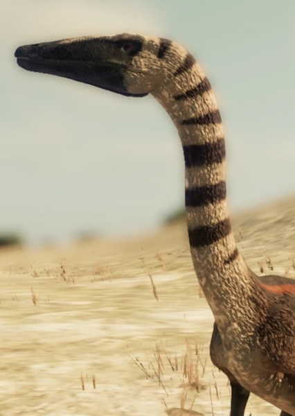 Coelophysis photo