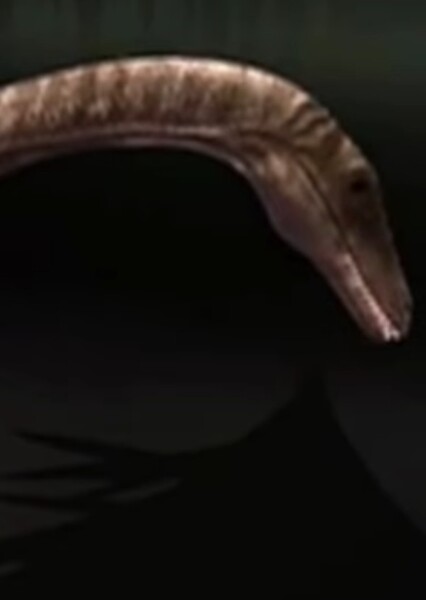 Coelophysis (Bizarre Dinosaurs)
