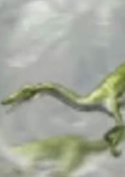 Coelophysis (Jurassic Park 3: Park Builder)