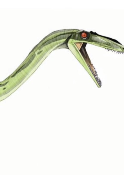 Coelophysis (Jurassic Park Institute)