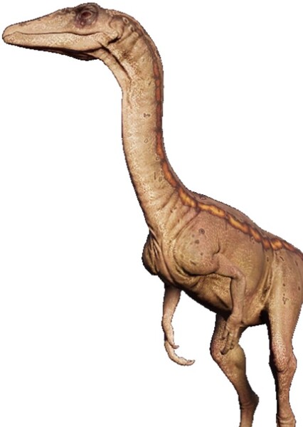 Coelophysis (Jurassic World Evolution)