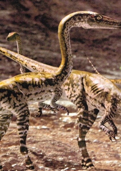Coelophysis