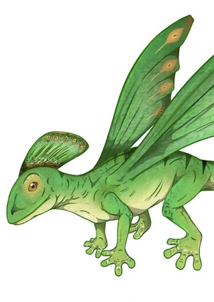 Coelurosauravus photo
