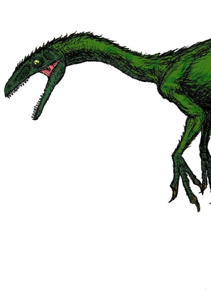 Coelurus photo