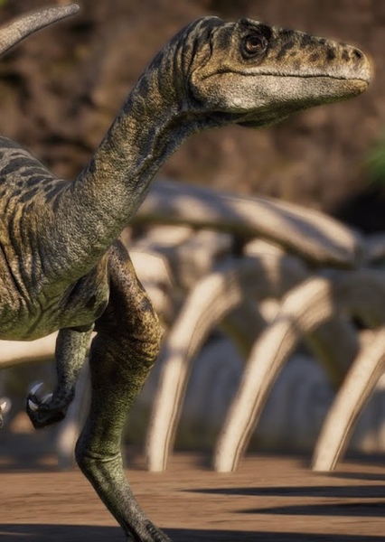 Coelurus
