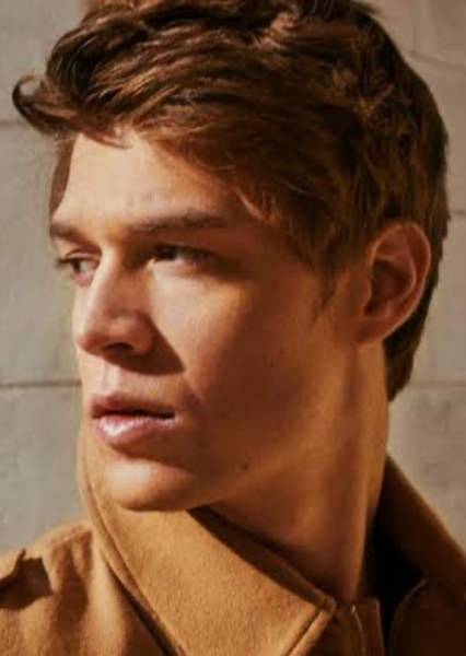 Colin Ford photo