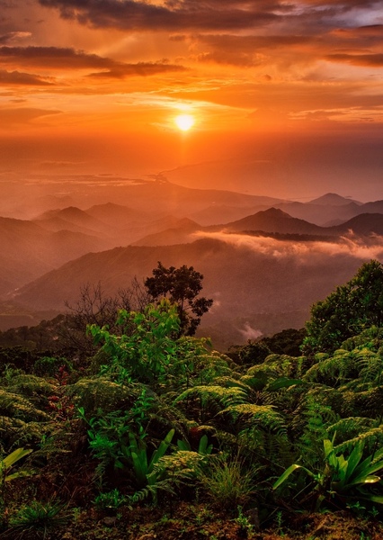 Colombia