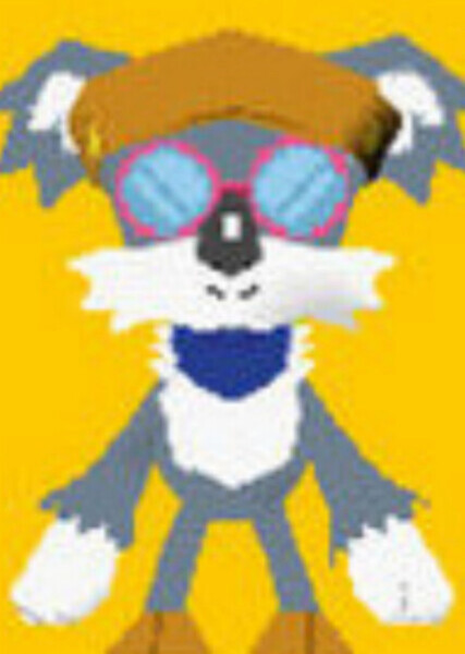 Colonel the Koala