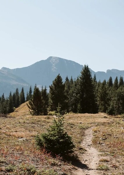 Colorado photo