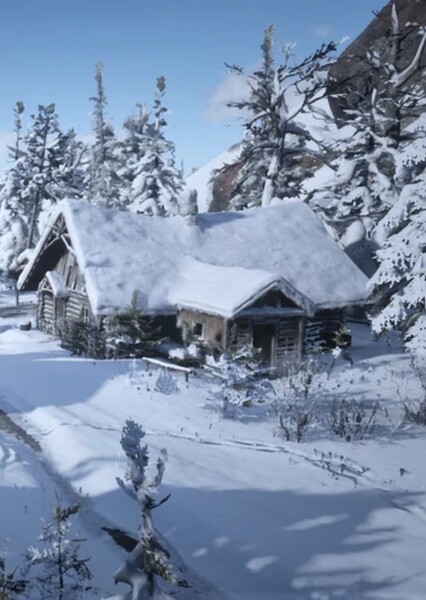 Colter (RDR2)