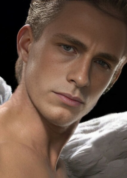Colton Haynes photo