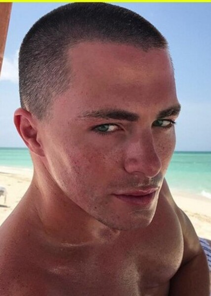 Colton Haynes photo