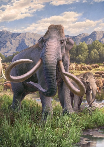 Columbian Mammoth photo