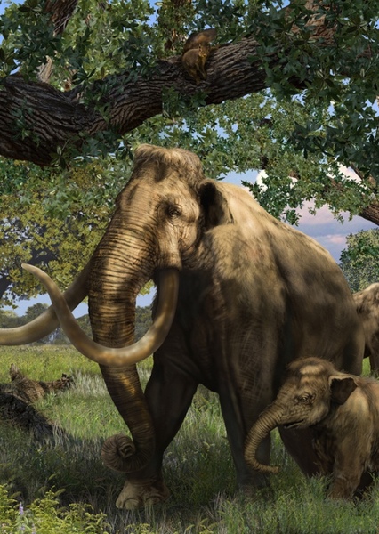 Columbian Mammoth photo