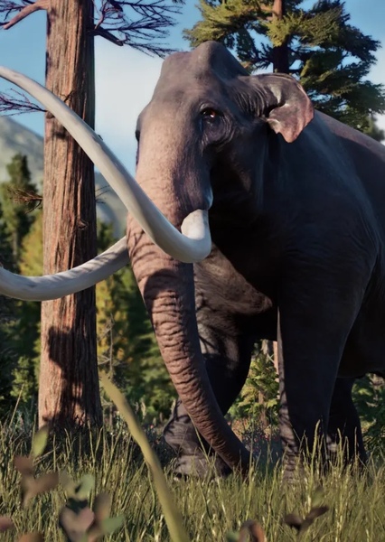 Columbian Mammoth