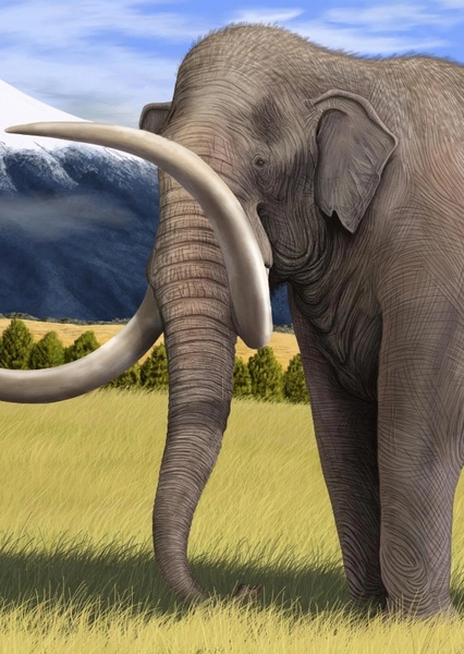 Columbian Mammoth photo