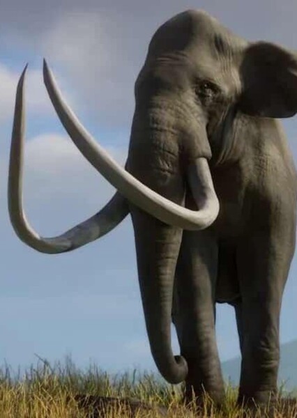 Columbian Mammoth photo