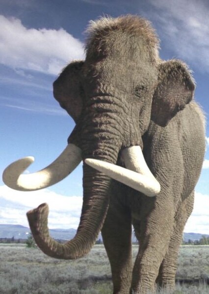 Columbian Mammoth (Ice Age Giants)