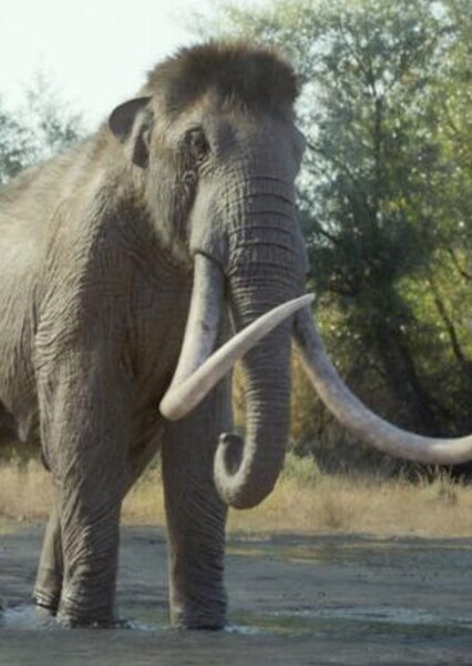 Columbian Mammoth (Prehistoric Planet: Ice Age)
