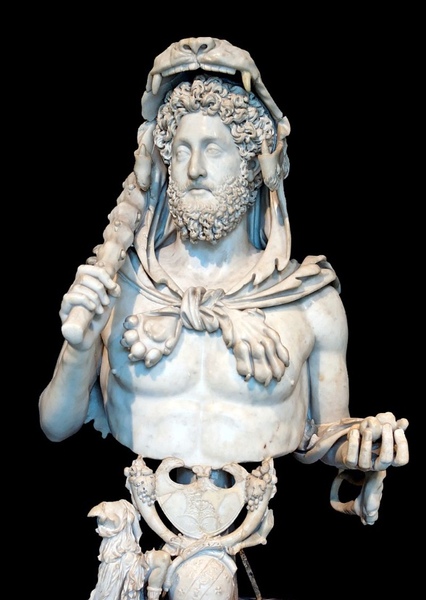 Commodus photo