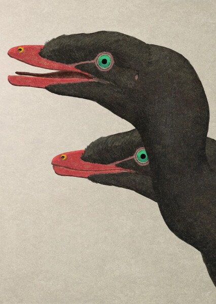 Compsognathus photo