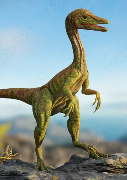 Compsognathus photo