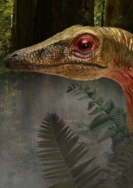 Compsognathus photo