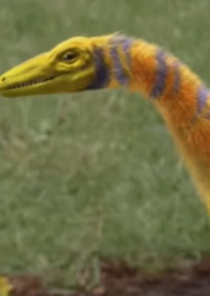 Compsognathus (Dino Dan)