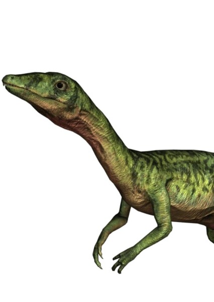 Compsognathus (Jurassic World Alive)