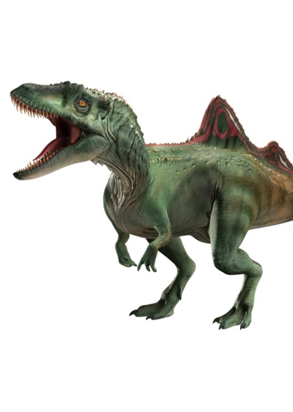 Concavenator photo