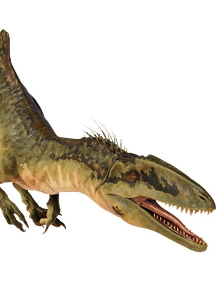 Concavenator