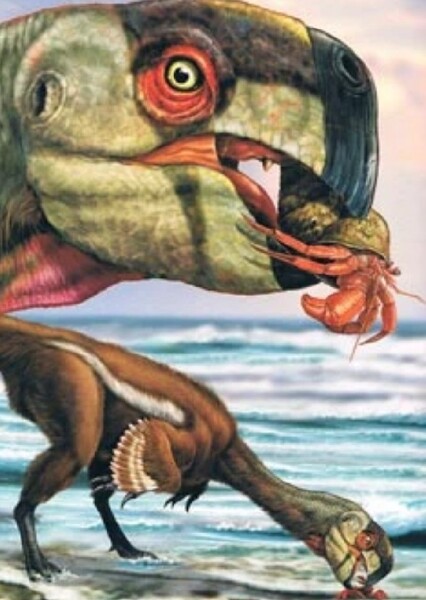 Conchoraptor