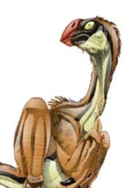 Conchoraptor (Jurassic Park Institute)