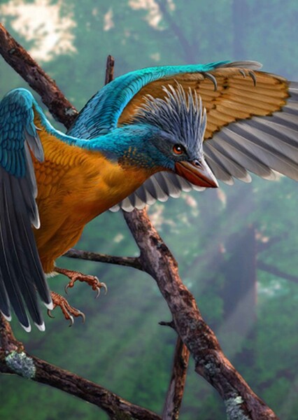 Confuciusornis photo