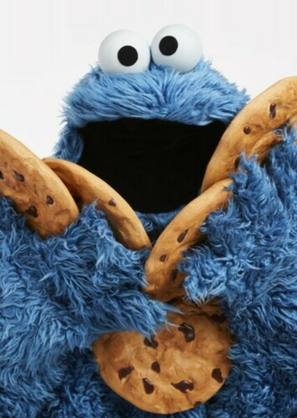 Cookie Monster photo