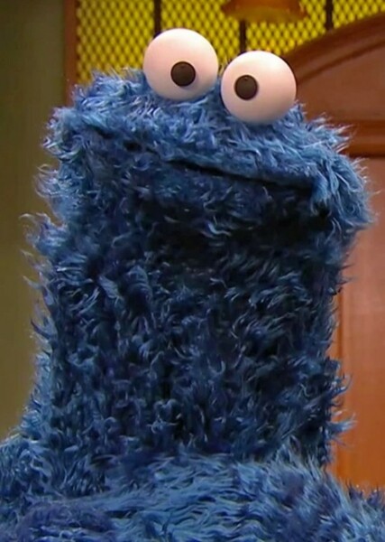Cookie Monster photo