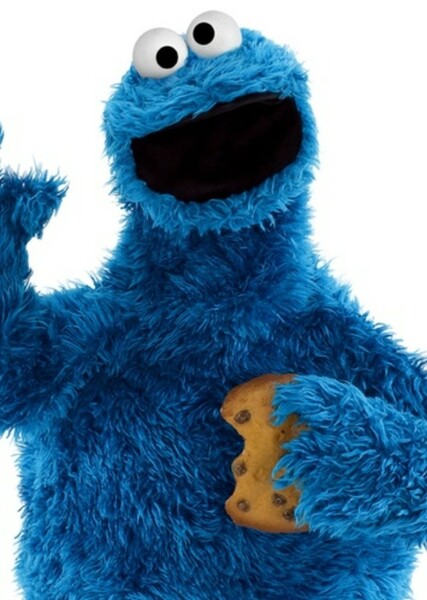 Cookie Monster photo