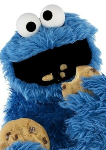 Cookie Monster photo