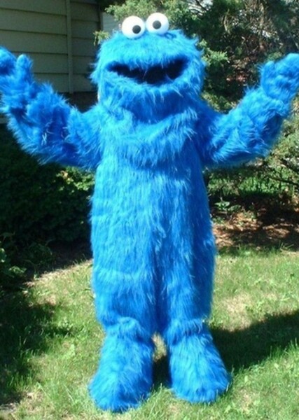 Cookie Monster photo