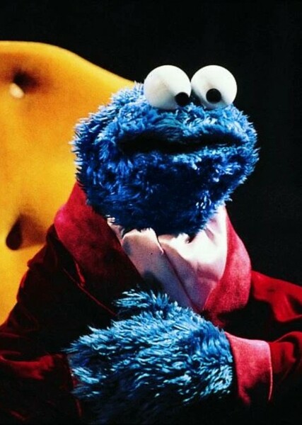 Cookie Monster photo