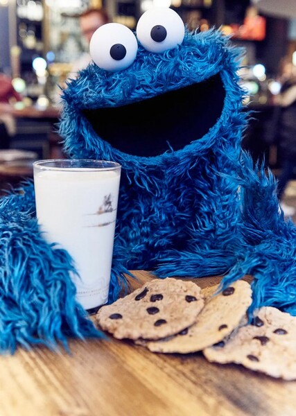 Cookie Monster photo