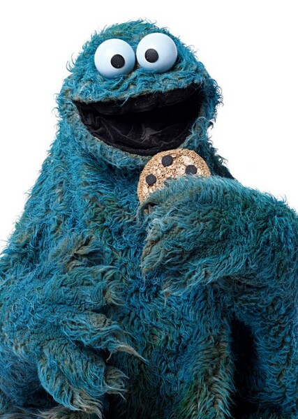 Cookie Monster photo