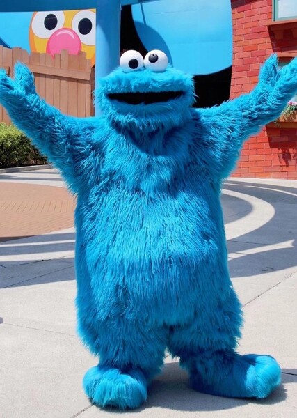 Cookie Monster photo
