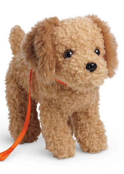 Cooper (American Girl) photo