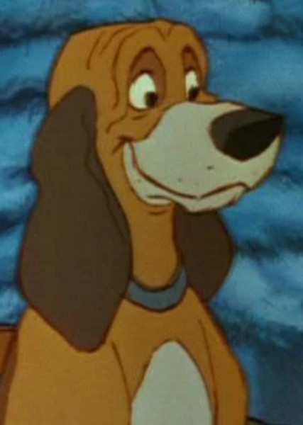Copper (The Fox and the Hound) photo