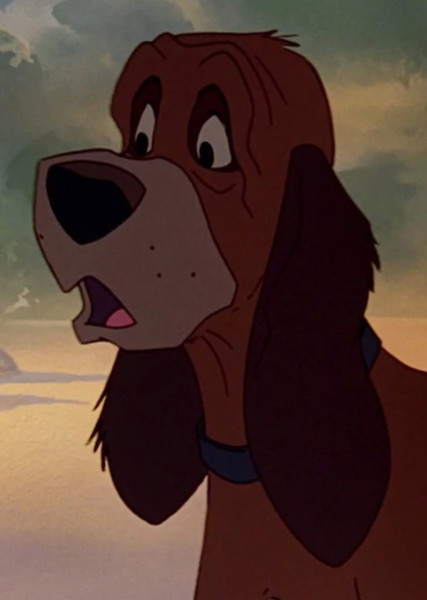 Copper (The Fox and the Hound) photo